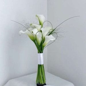 HC-005 Hoa bó Cacalili