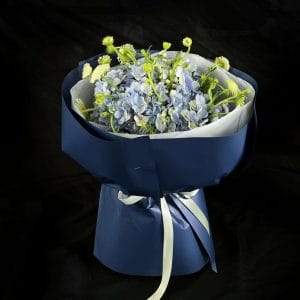 BH-002 Cẩm tú cầu