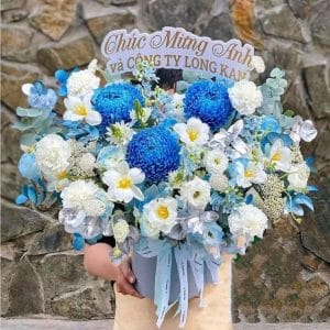 HKT-001 Hoa giỏ khai trương