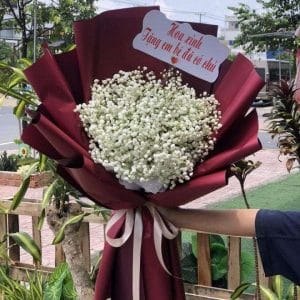 HSN-004 Bó hoa Baby